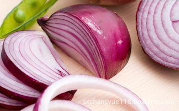 Onion+IB High quality Onion Extract powder 98% quercetin, High Quality Onion ...